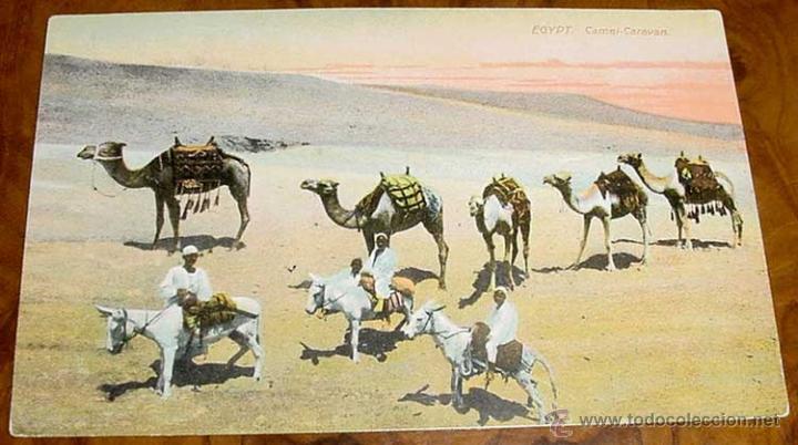 Cartoline: ANTIGUA POSTAL DE EGIPTO - EGYPT - EGYPTE - CARAVANA DE CAMELLOS - NO CIRCUALDA.