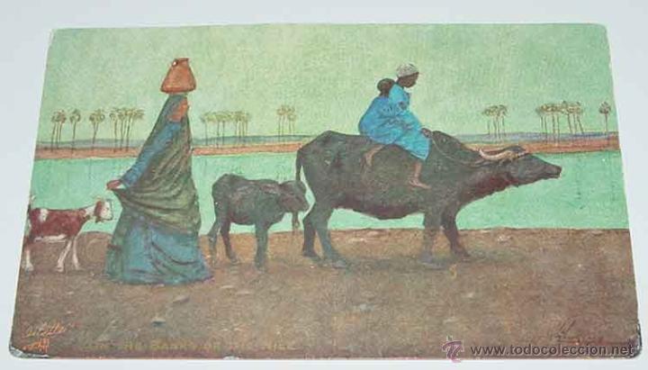 Cartoline: ANTIGUA POSTAL DE EGYPTO - ON THE BANKS OF THE NILE - ED. RAPHAEL TUCK.