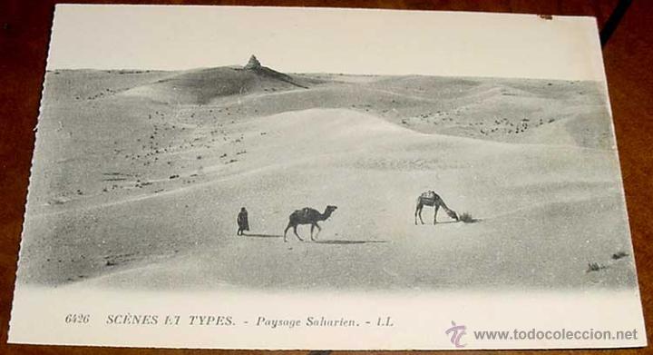 Cartoline: ANTIGUA POSTAL DE ESCENAS TIPICAS - PAISAJE SAHARIANO - MARRUECOS - NO CIRCULADA.