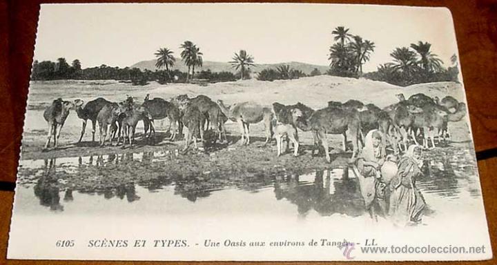 Cartoline: ANTIGUA POSTAL DE ESCENAS TIPICAS - UN  OASIS EN TANGER - MARRUECOS - NO CIRCULADA.