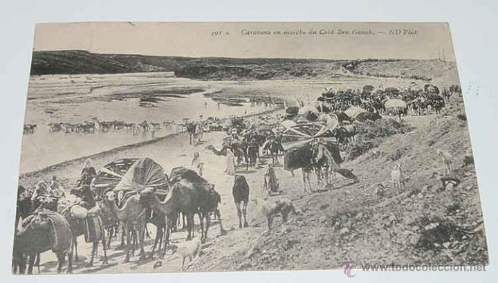 Cartoline: ANTIGUA POSTAL CARAVANA DE CAMELLOS CAID BEN GANAD - ARGELIA - CIRCULADA.