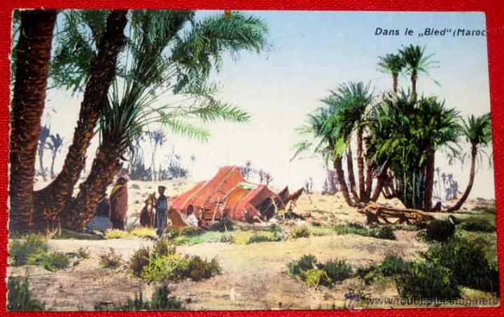 Cartoline: ANTIGUA POSTAL DE DANS LE BLED -  MARRUECOS - NO CIRCULADA.