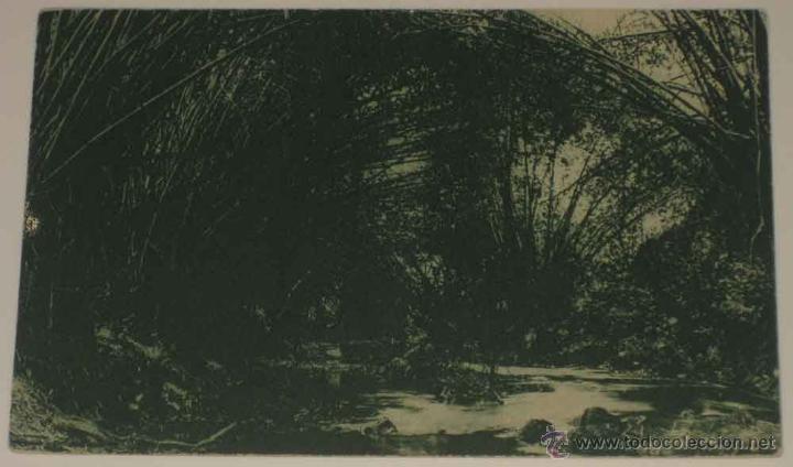 Cartoline: ANTIGUA POSTAL DE GUINEA CONTINETAL - NACIMIENTO DEL RIO EKUKO - ED. PUBLICACIONES PATRIOTICAS P&ordf;. J