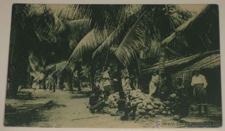 Cartoline: ANTIGUA POSTAL DE GUINEA CONTINETAL - UNA FINCA DE COCOS - ED. PUBLICACIONES PATRIOTICAS P&ordf;. JESUS -