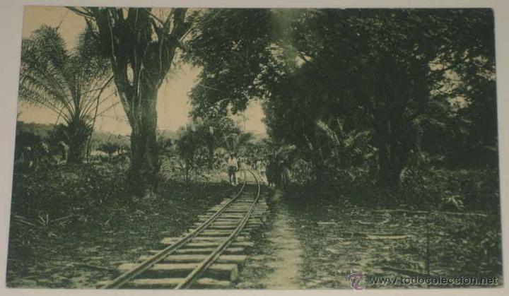 Cartoline: ANTIGUA POSTAL DE GUINEA CONTINETAL - LINEA FERREA A TRAVES DE LA SELVA EN LAS EXPLOTACIONES DE LA S