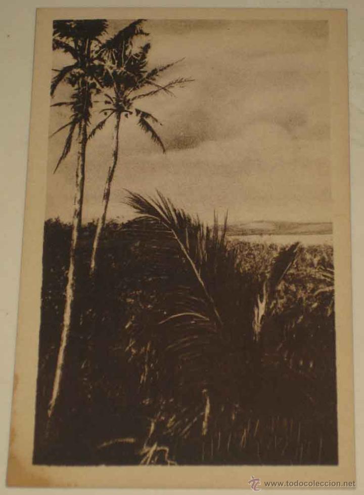 Postais: ANTIGUA POSTAL DE GUINEA ECUATORIAL - BOSQUE ADENTRO - ED. MATEU - NO CIRCULADA.