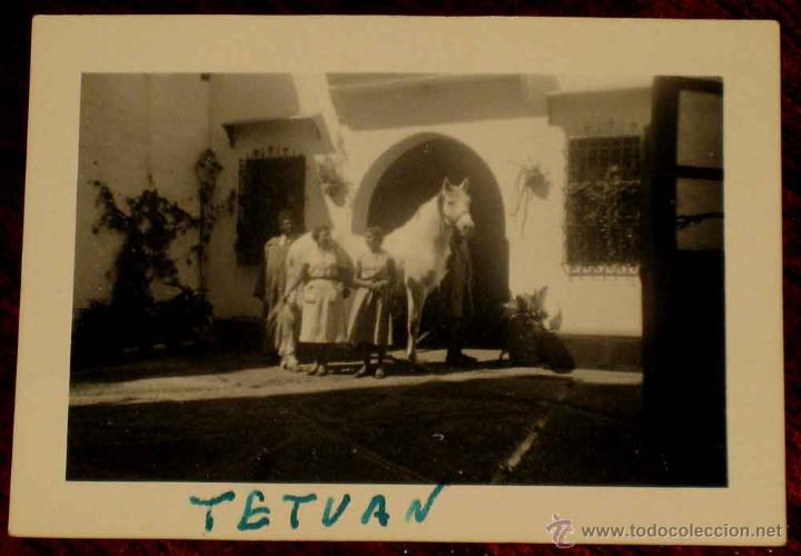 Postais: ANTIGUA FOTOGRAFIA DE TETUAN - PADY, CABALLO DEL JALIFA 1952 - FOTO ROS - MIDE 7 X 5 CMS.