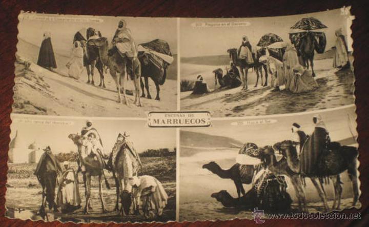 Postais: ANTIGUA FOTO POSTAL DE MARRUCOS - SAHARA, DESIERTO, CAMELLOS - ED. CASA BOIX - CIRCULADA