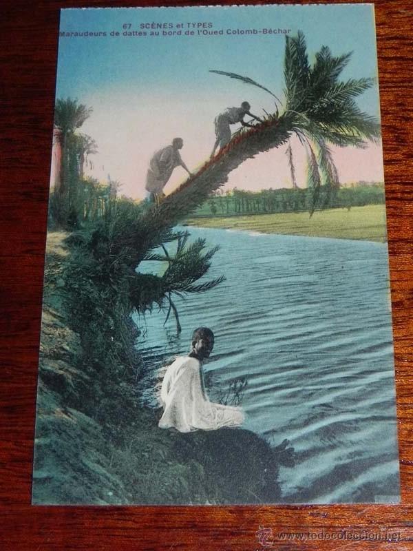 Postales: ANTIGUA POSTAL SCENES ET TYPES DE ARGELIA - ED. A.F. - N. 67 - NO CIRCULADA.