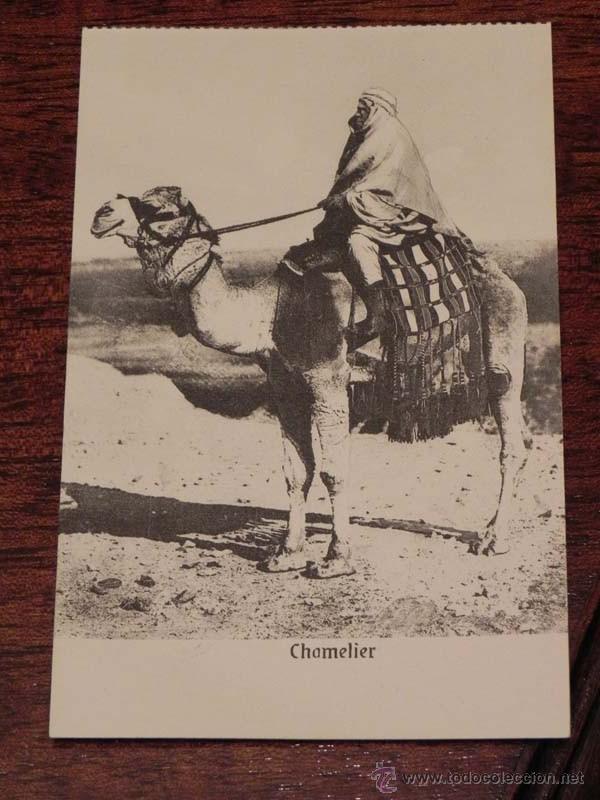 Cartoline: ANTIGUA POSTAL EGYPT - EGIPTO - ED. THE CAIRO - NO CIRCULADA.
