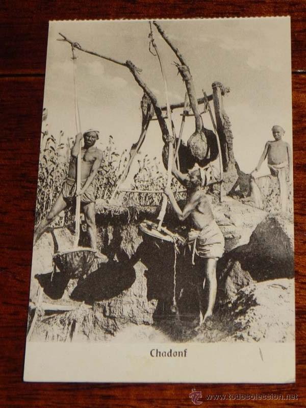 Cartoline: ANTIGUA POSTAL EGYPT - EGIPTO - ED. THE CAIRO - NO CIRCULADA.