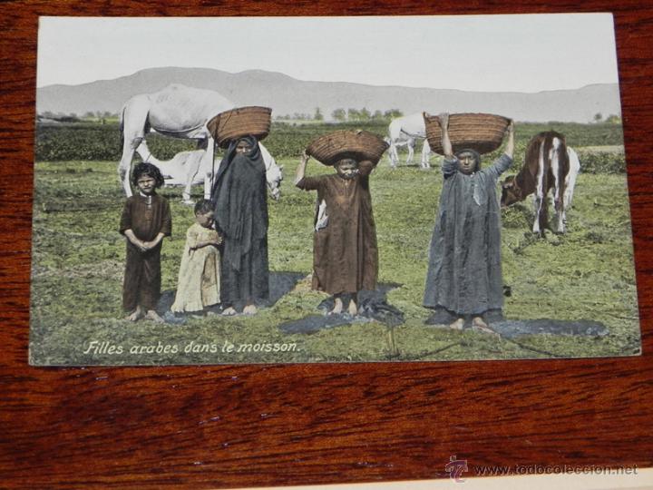Cartoline: ANTIGUA POSTAL DE EGIPTO - ED. EPHTIMIOS FRERES - NO CIRCULADA.