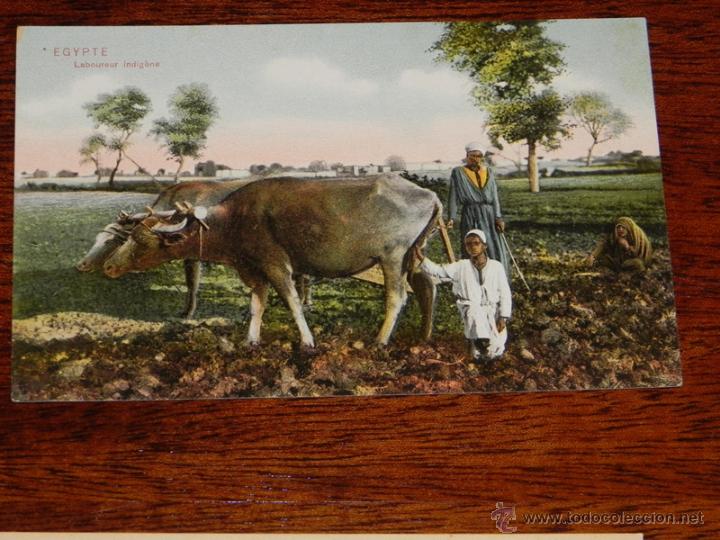 Cartoline: ANTIGUA POSTAL DE EGIPTO - EGYPTE - ED. EPHTIMIOS FRERES - NO CIRCULADA.