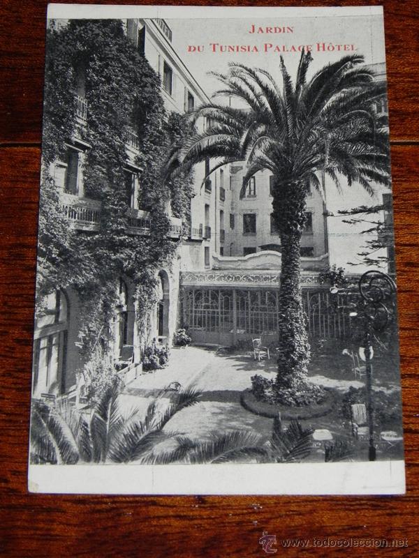 Cartoline: ANTIGUA POSTAL DE JARDIN DE TUNISIA PALACE HOTEL - TUNEZ - NO CIRCULADA.