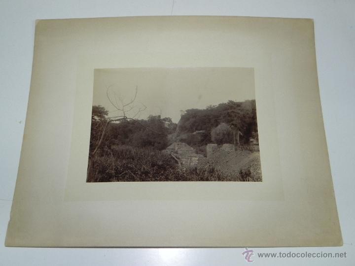 Cartoline: Antigua fotografia albumina de Angola, Old photograph albumen of Angola, mide 30 x 21,5 cms.