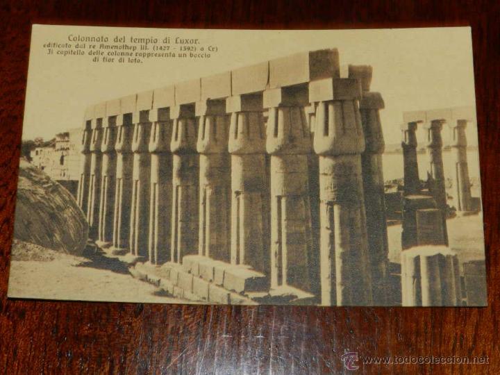 Cartoline: antigua foto postal, Columnata del Templo de Luxor, sin circular, old photo postcard, Colonnato del