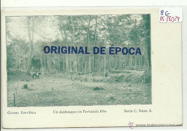 Cartoline: (PS-38029)POSTAL DE GUINEA ESPA&Ntilde;OLA-UN DESBOSQUE EN FERNANDO POO