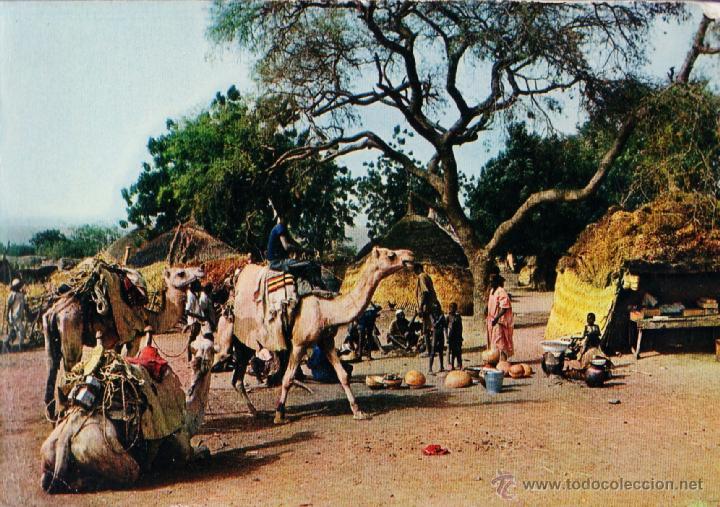 Cartoline: republica de niger - escena de un poblado - vida cotidiana - nueva - a&ntilde;os 70