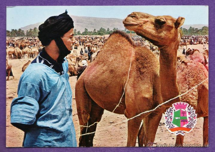 Cartoline: marruecos - goulimine - mercado de camellos - nueva - a&ntilde;os 70 -