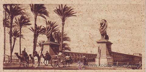 Postales: CAIRO (EGYPT). Kasr - El - Nile Bridge. EGIPTO. - Foto 1