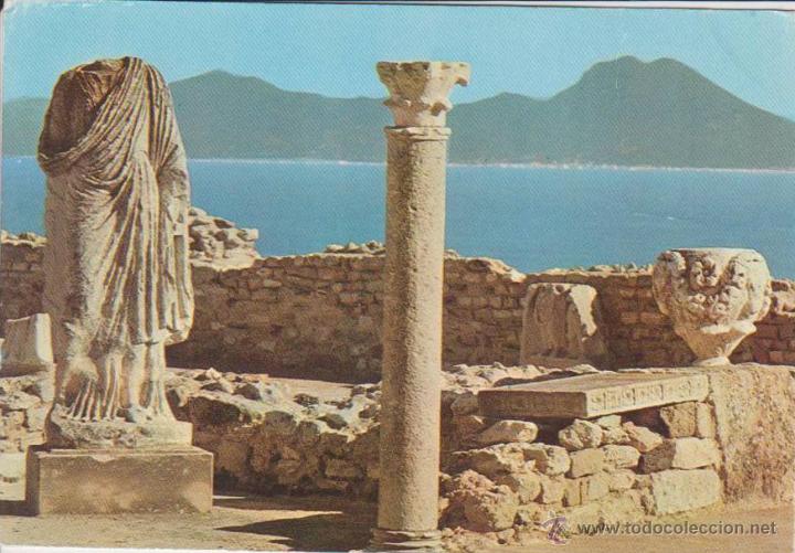 Cartoline: TUNISIE. CARTHAGE. CARTAGO. L'ANTIQUARIUM