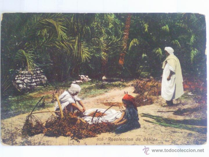 Postais: ANTIGUA POSTAL, RECOLECCION DE DATILES