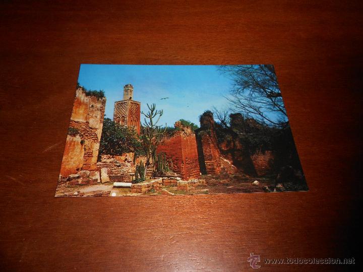Postales: MAROC. RABAT RUINAS DE CHELLAH (SIN CIRCULAR) - Foto 1