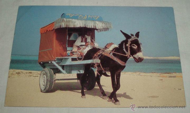 Postales: postal de marruecos sin circular - Foto 1