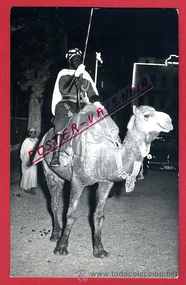 Cartoline: POSTAL TETUAN, MARRUECOS, CAMELLEROS, CAMELLO, P95557