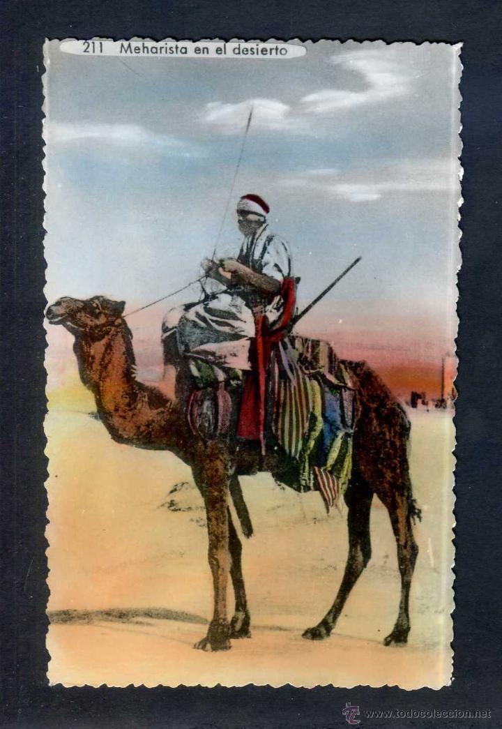 Cartes Postales: *Meharista en el desierto* Sin datos n&ordm; 211. Nueva.