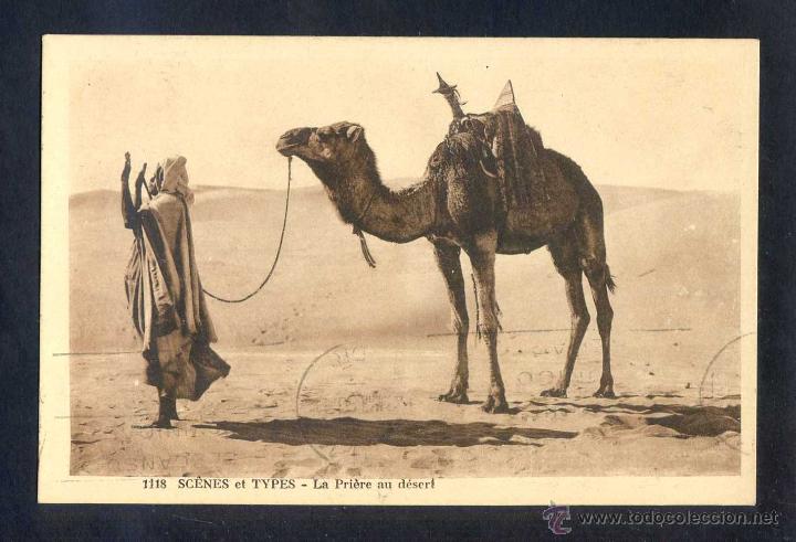 Postais: Argelia. *La Pri&egrave;re au d&eacute;sert* Circulada Tlemcen 1910.
