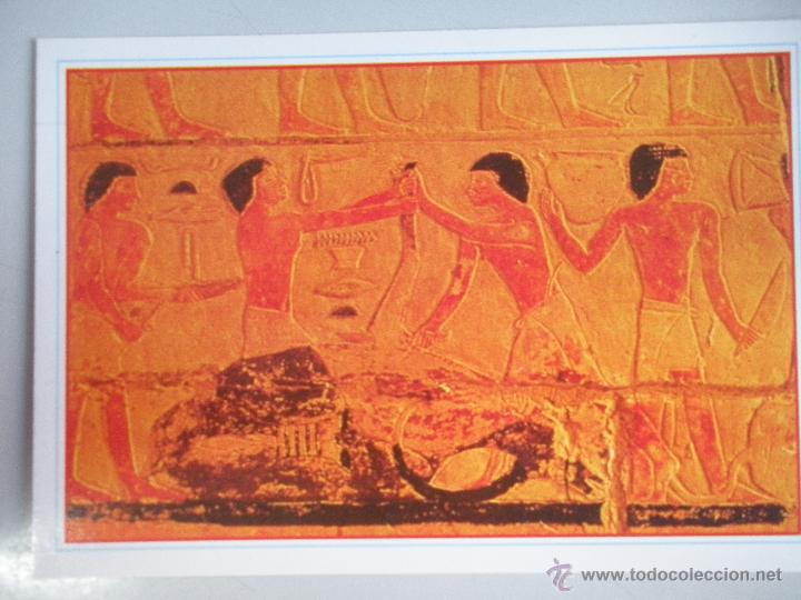 Postales: MAGNIFICA POSTAL DE -EGYPTO - - Foto 1