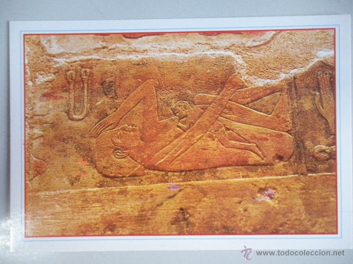Postales: MAGNIFICA POSTAL DE -EGYPTO - - Foto 1