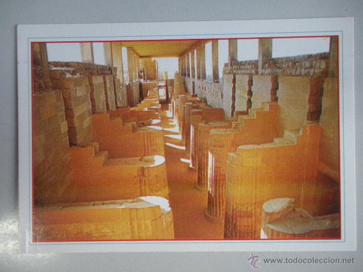 Postales: MAGNIFICA POSTAL DE -EGYPTO - - Foto 1