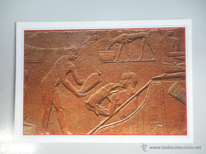 Postales: MAGNIFICA POSTAL DE -EGYPTO - - Foto 1