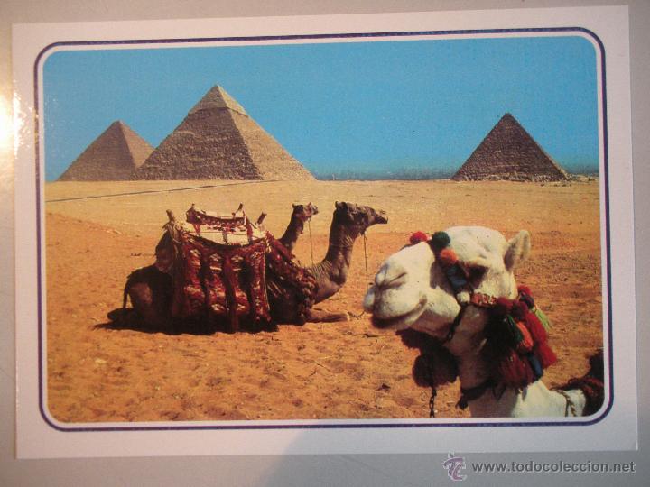 Postales: MAGNIFICA POSTAL DE -EGYPTO - - Foto 1