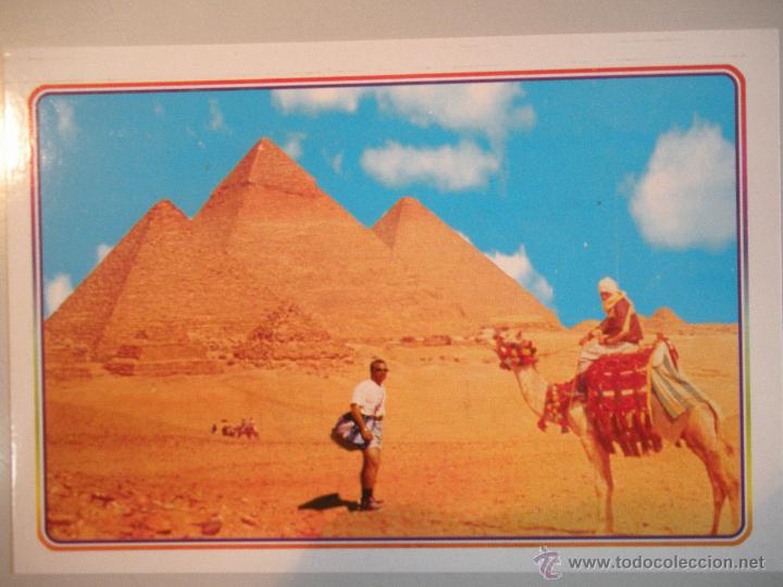 Postales: MAGNIFICA POSTAL DE -EGYPTO - - Foto 1