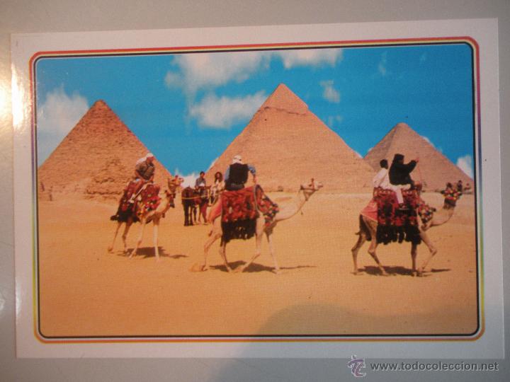 Postales: MAGNIFICA POSTAL DE -EGYPTO - - Foto 1