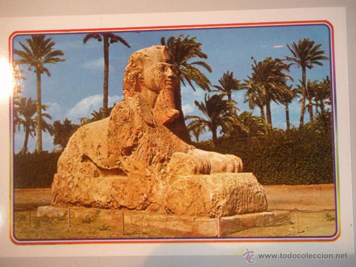 Postales: MAGNIFICA POSTAL DE -EGYPTO - - Foto 1