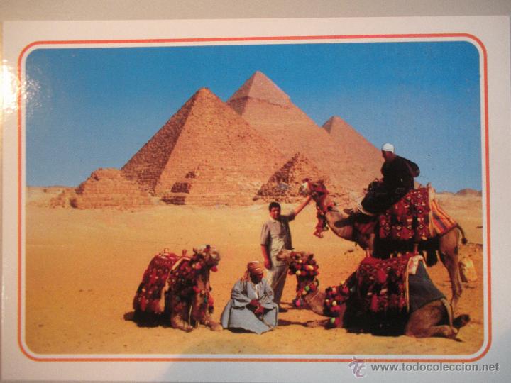 Postales: MAGNIFICA POSTAL DE -EGYPTO - - Foto 1