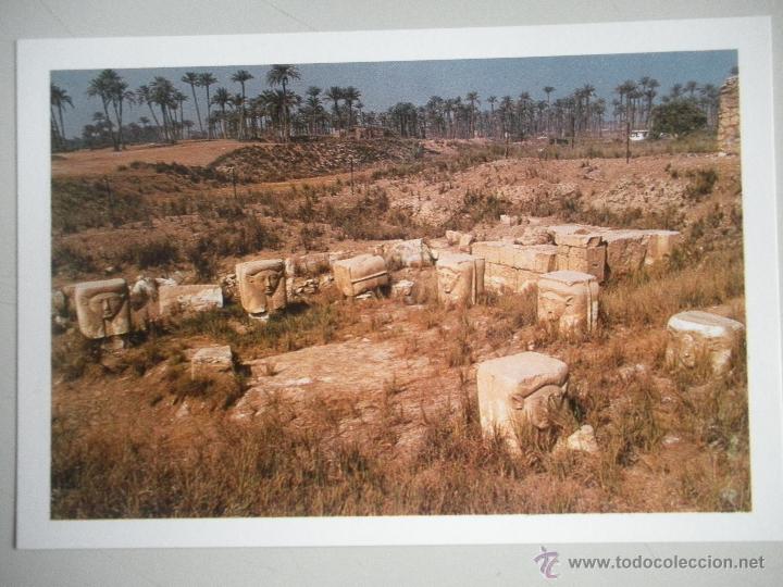 Postales: MAGNIFICA POSTAL DE -EGYPTO - - Foto 1