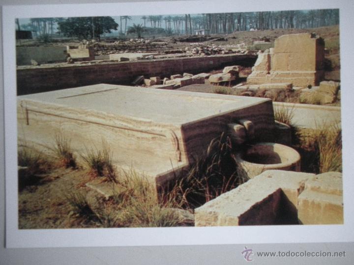 Postales: MAGNIFICA POSTAL DE -EGYPTO - - Foto 1