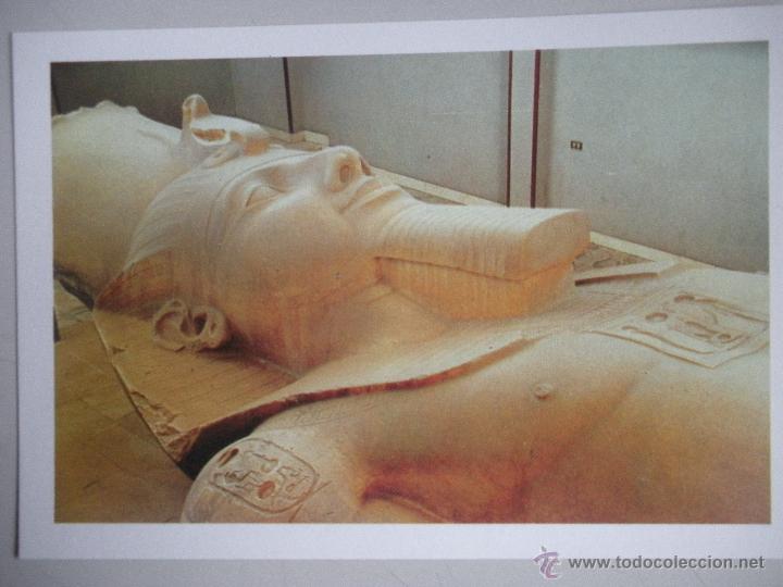 Postales: MAGNIFICA POSTAL DE -EGYPTO - - Foto 1