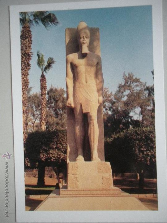 Postales: MAGNIFICA POSTAL DE -EGYPTO - - Foto 1