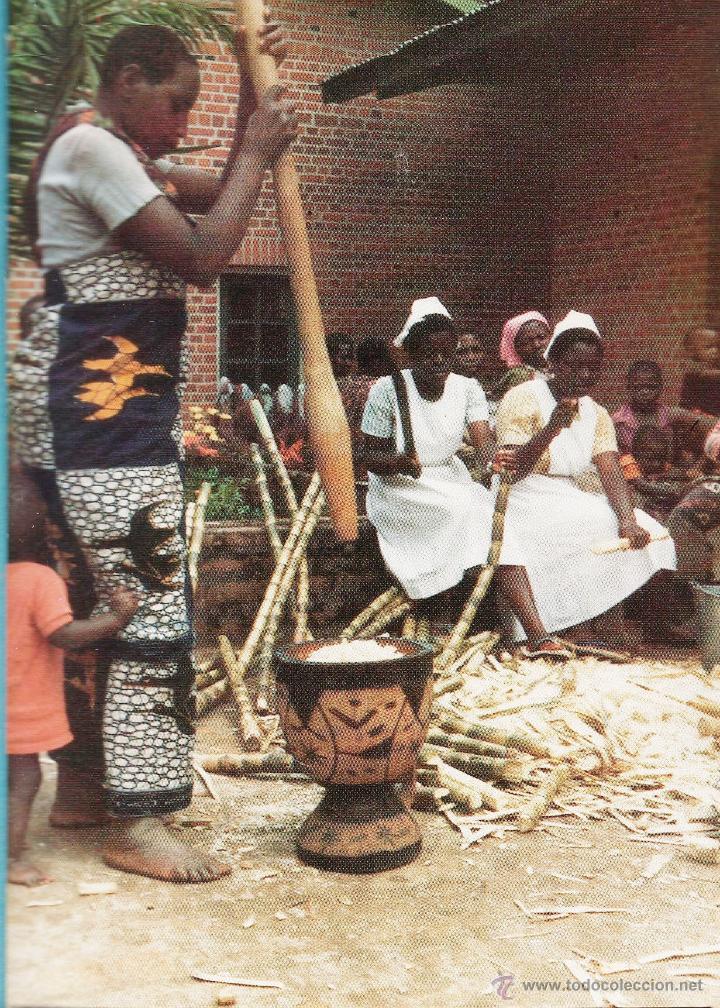 Cartoline: postal - col. africa - n&ordm; 3 - alimento - ed. lestonnac / compa&ntilde;ia maria nuestra se&ntilde;ora - nueva -