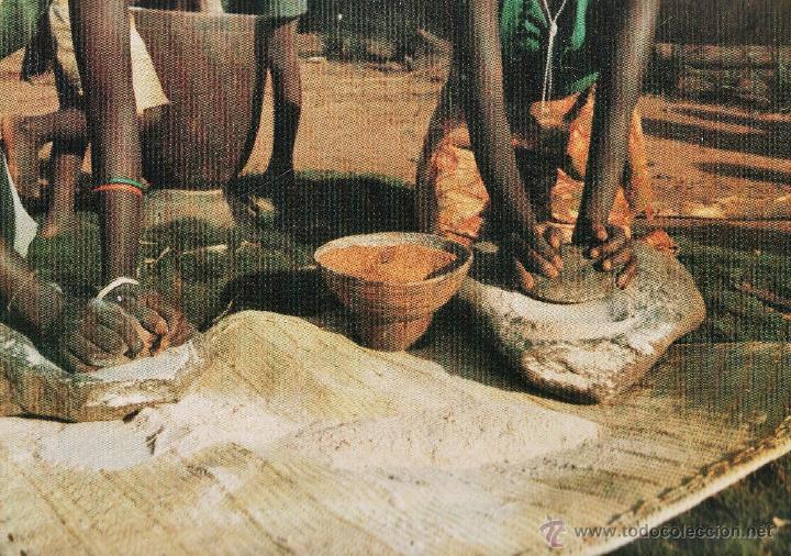 Cartoline: postal - col. africa - n&ordm; 5 - alimentos - ed. lestonnac / compa&ntilde;ia maria nuestra se&ntilde;ora -nueva