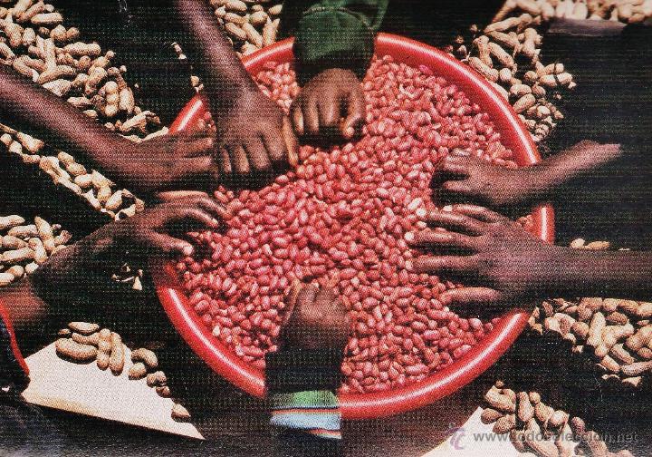 Cartoline: postal - col. africa - n&ordm; 7 - comida - ed. lestonnac / compa&ntilde;ia maria nuestra se&ntilde;ora - nueva -