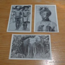 Postales: LOTE DE 3 POSTAL ANTIGUA DE AFRICA, TRIBUS, ORIGINALES.. Lote 47362887