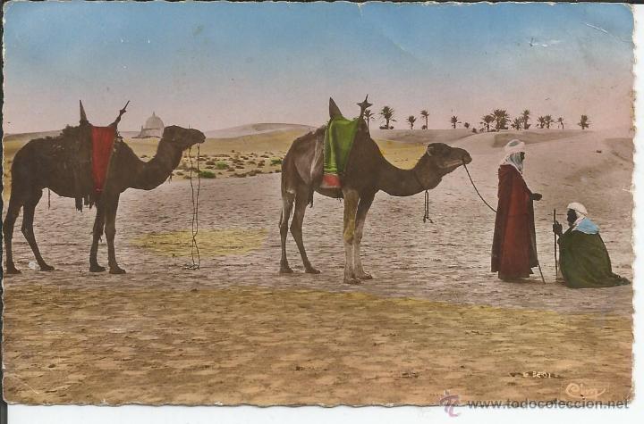 Cartes Postales: Postal africana de principios de siglo circulada