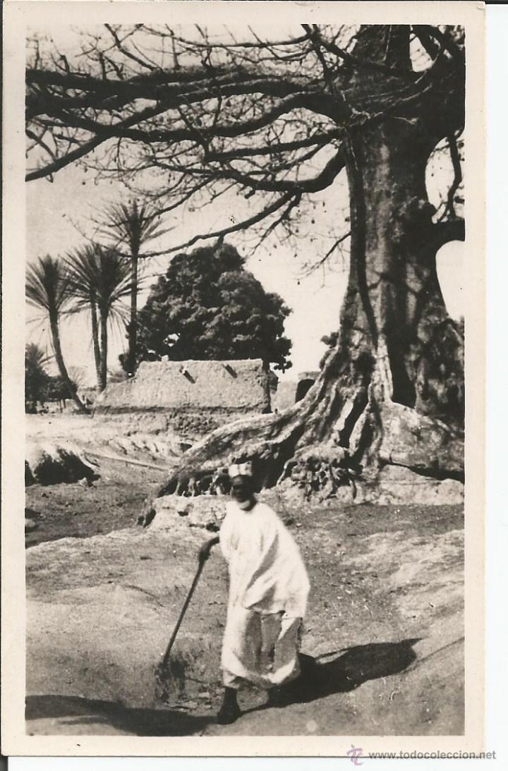Cartes Postales: POSTAL AFRICANA DE PRINCIPIOS DE SIGLO CIRCULADA